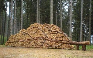 木材可以做什么用