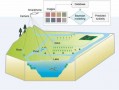 湖泊水环境模型 湖泊水华预警机理模型