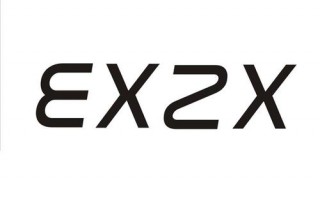 zx与ex有什么区别,ex和ex 