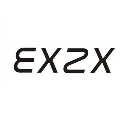 exzx什么意思（ex什么意思中文意思）-第1张图片-抚顺市先锋模型