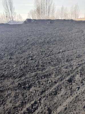  煤泥是什么「煤泥是啥意思」-第1张图片-抚顺市先锋模型